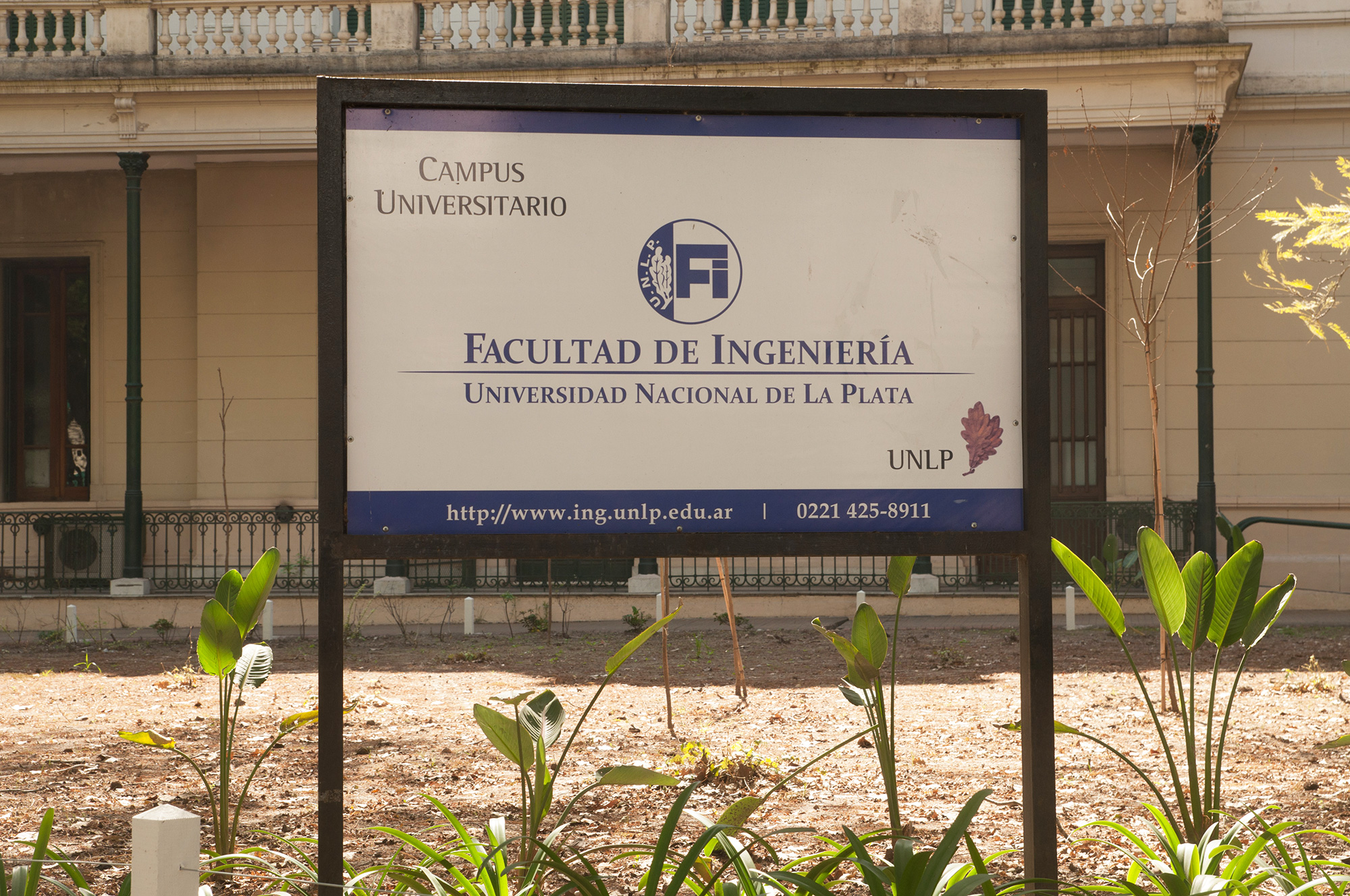 convocatoria directores