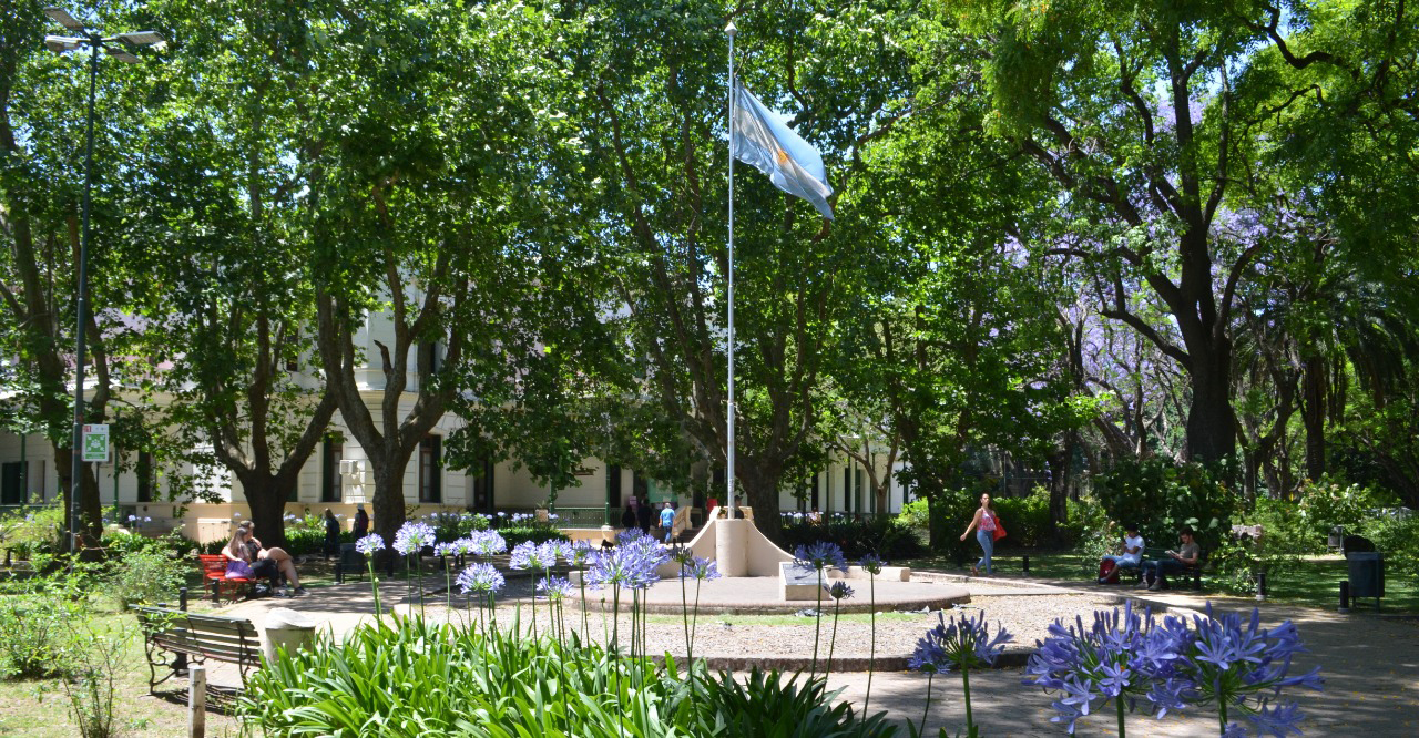 Frente Fac. Ingeniería con bandera