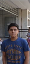 ingreso ia