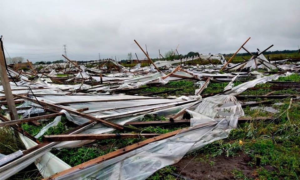 Cientos de invernaderos fueron destruidos en febrero último por un fuerte temporal de viento y granizo que azotó a la región.