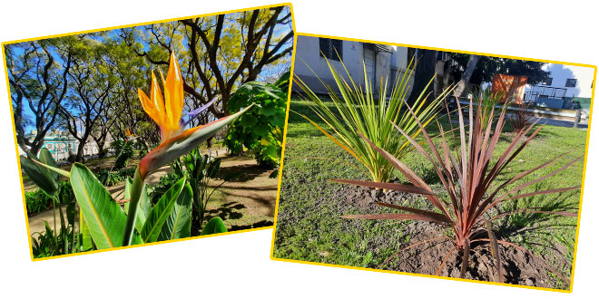 jardines ing2