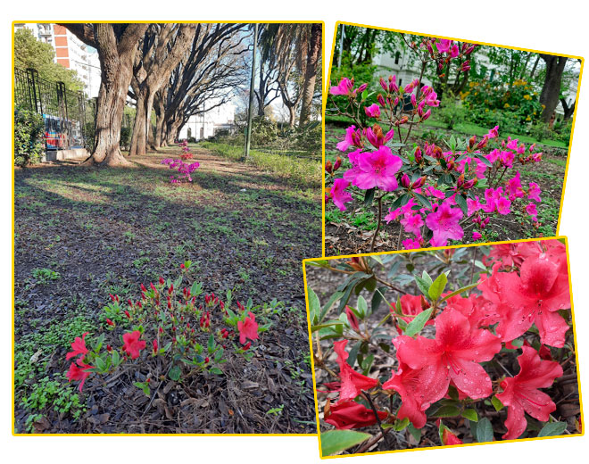 jardines ing3