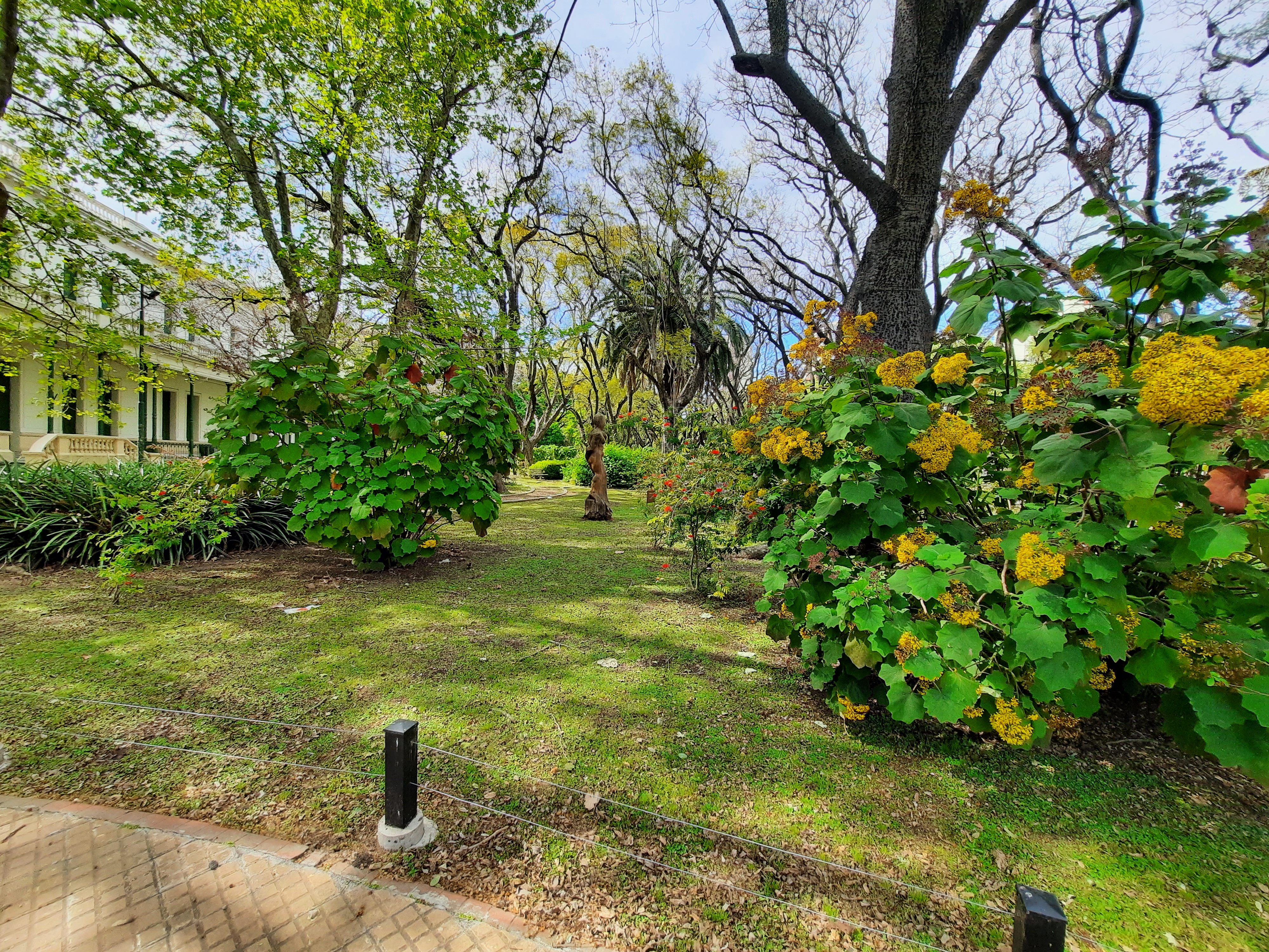 jardines ing5