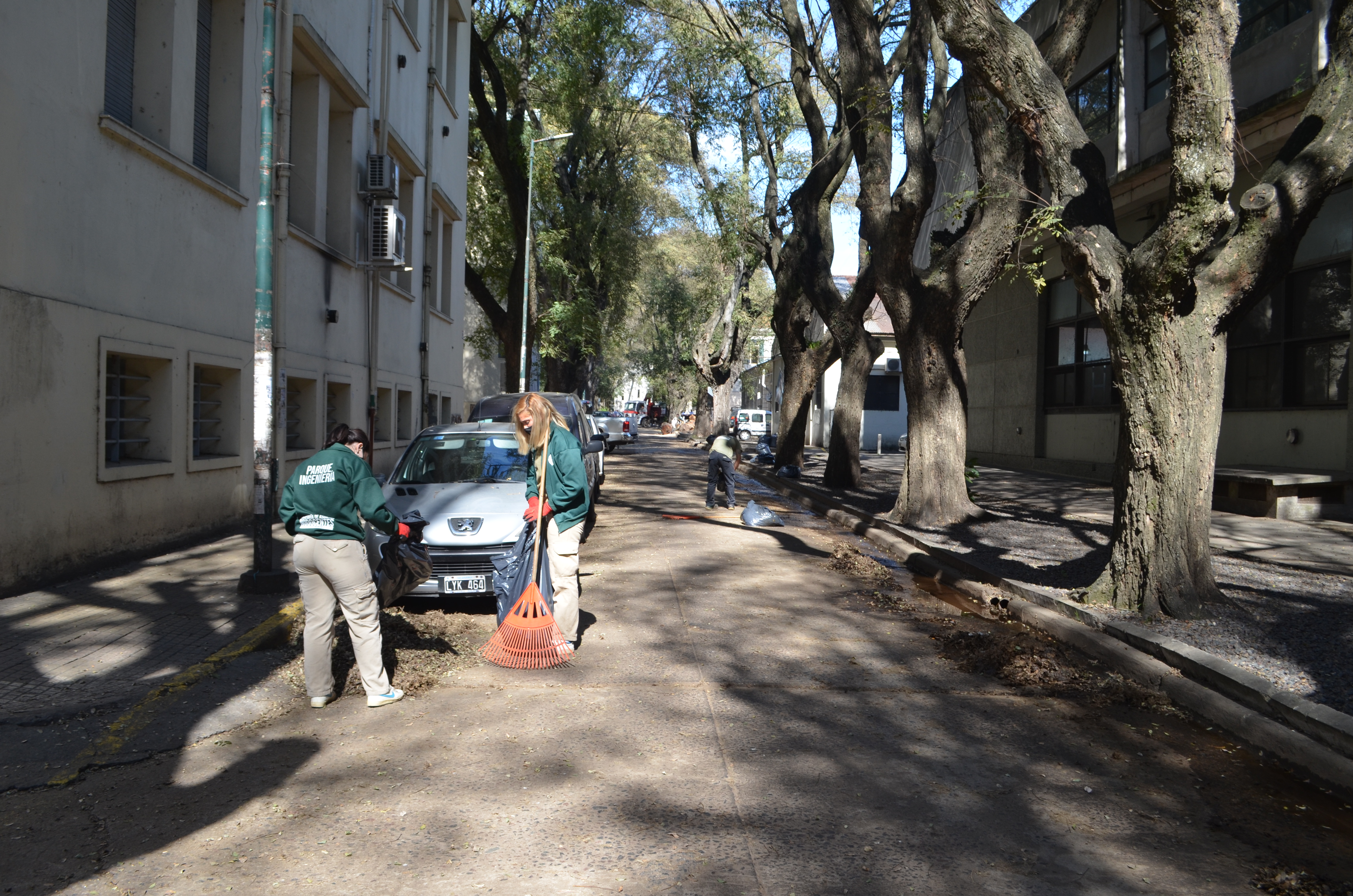 jardines ing integrantes