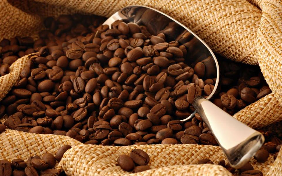 JORNADA Y CAFE